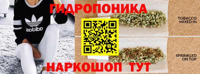 мяу мяу мука Азнакаево