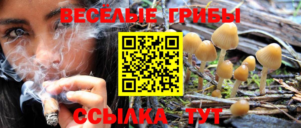 Псилоцибиновые грибы прущие грибы Анжеро-Судженск